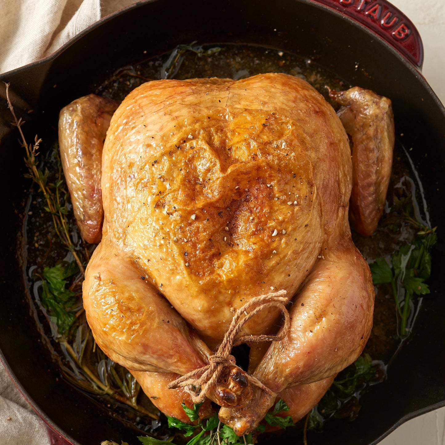 Cooking Basics Class Series