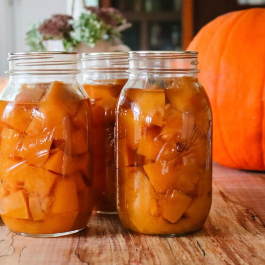 Preserved Pumpkin